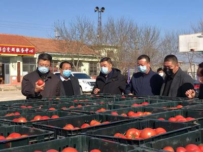 海陽市政府 海陽要聞 【雷鄉戰&ldquo;疫&rdquo;】海陽市搭建農超雙向對接橋梁