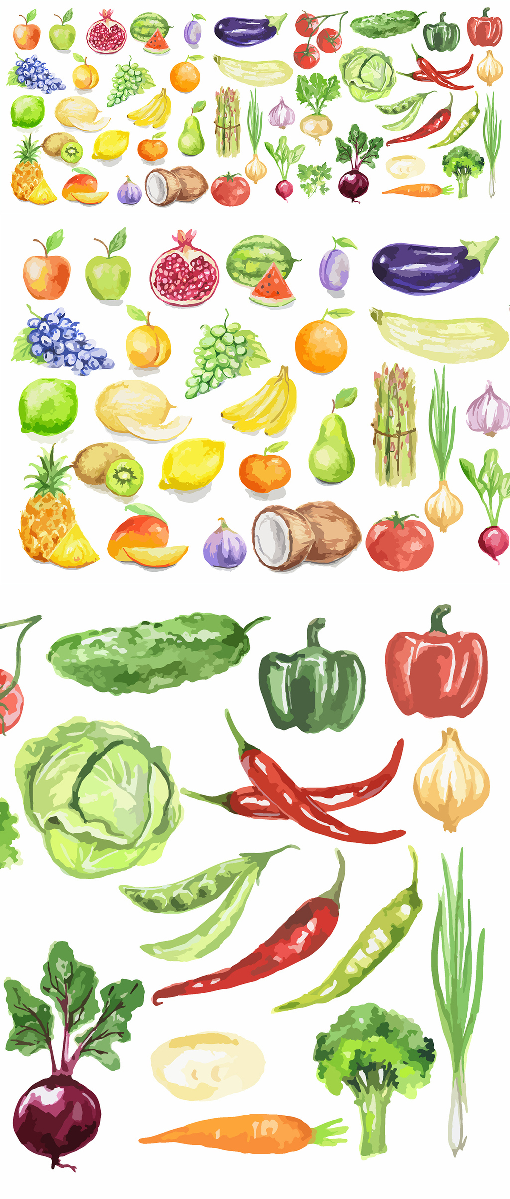 原創(chuàng)水彩暈染手繪水果蔬菜矢量-版權(quán)可商用