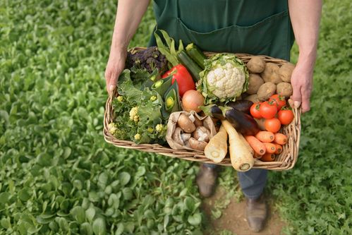 拿不出認證被立案,難辨真假的高價有機農產品,還能炒作多久