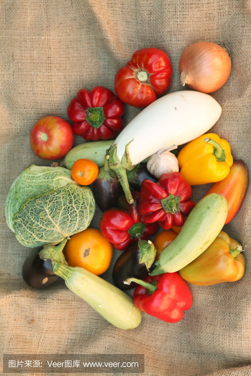 蔬菜vegetables photo