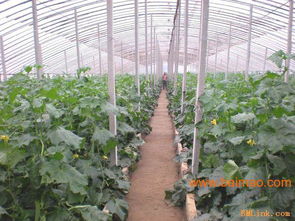 華洋學(xué)山水泥制品廠,華洋學(xué)山水泥制品廠生產(chǎn)廠家,華洋學(xué)山水泥制品廠價(jià)格