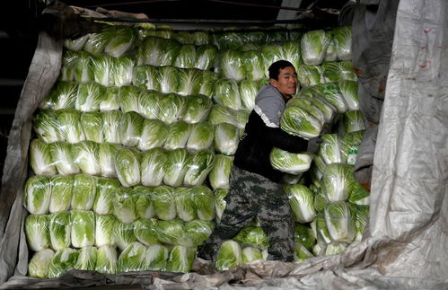 我們?cè)诠懦怯鲆姀娜?西安防疫升級(jí)首日見聞