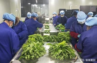 其實(shí),美食和我們都活在存在感中