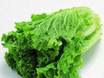 廣州市場(chǎng)大米、農(nóng)副產(chǎn)品批發(fā)與大型蔬菜配送公司的全方位解析