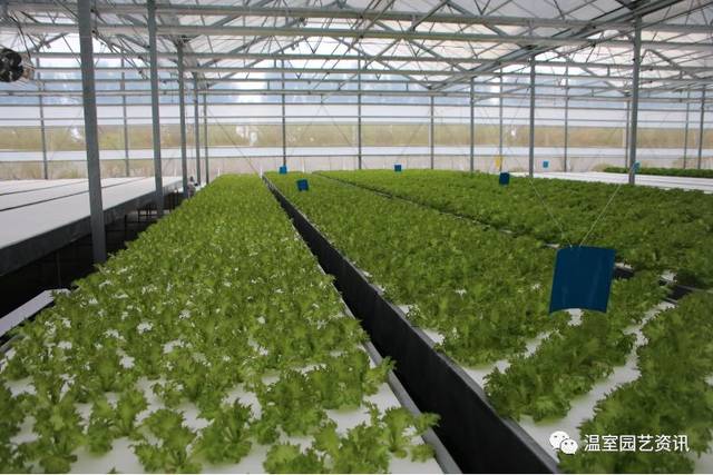 探秘京東植物工廠 產(chǎn)銷(xiāo)一體化破解農(nóng)產(chǎn)品銷(xiāo)售難題